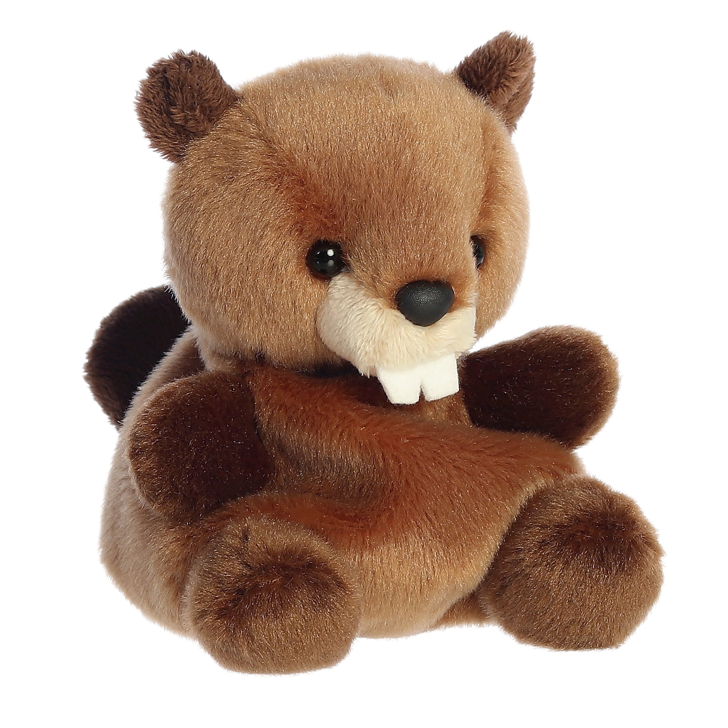 Chewy Beaver | Aurora Palm Pals