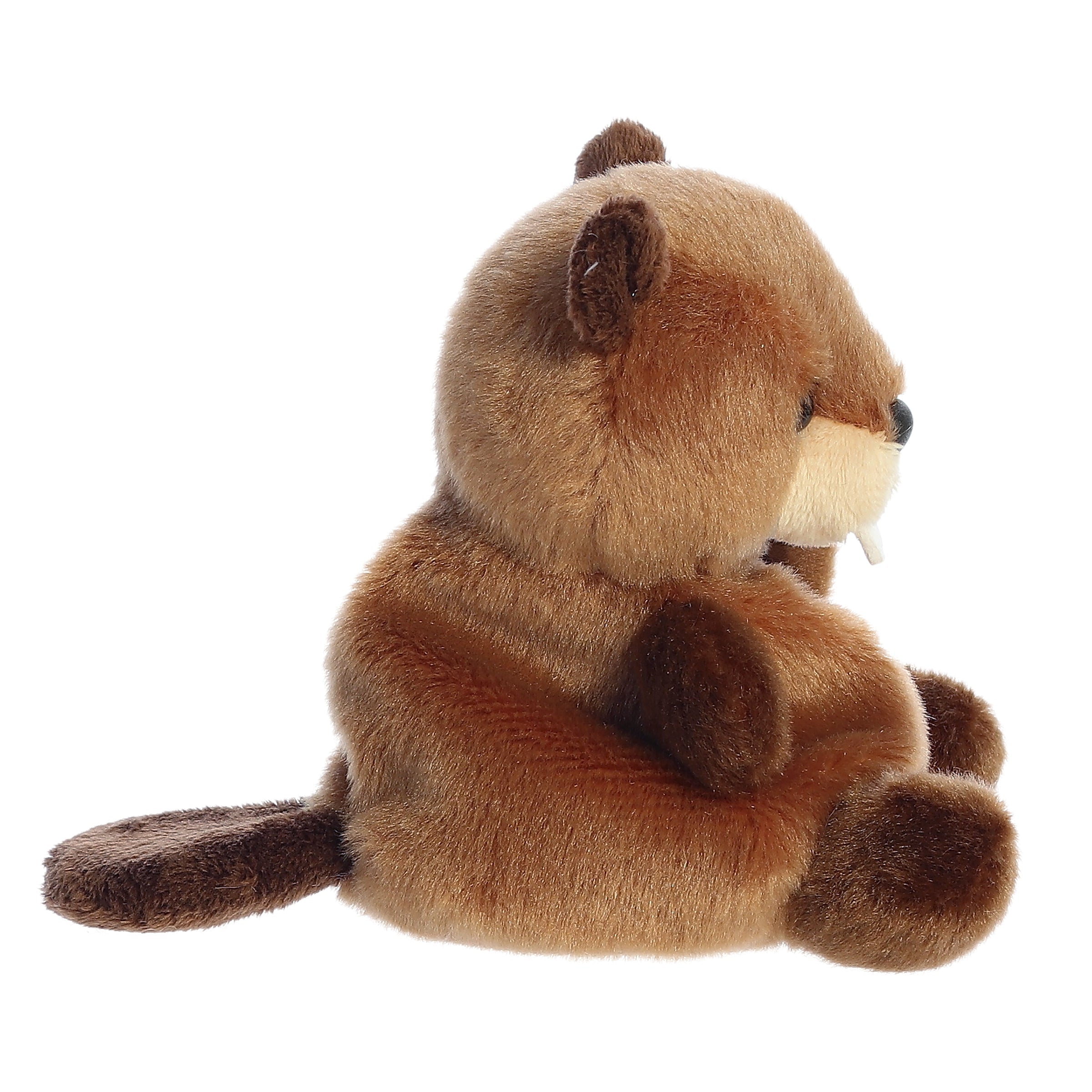 Chewy Beaver | Aurora Palm Pals