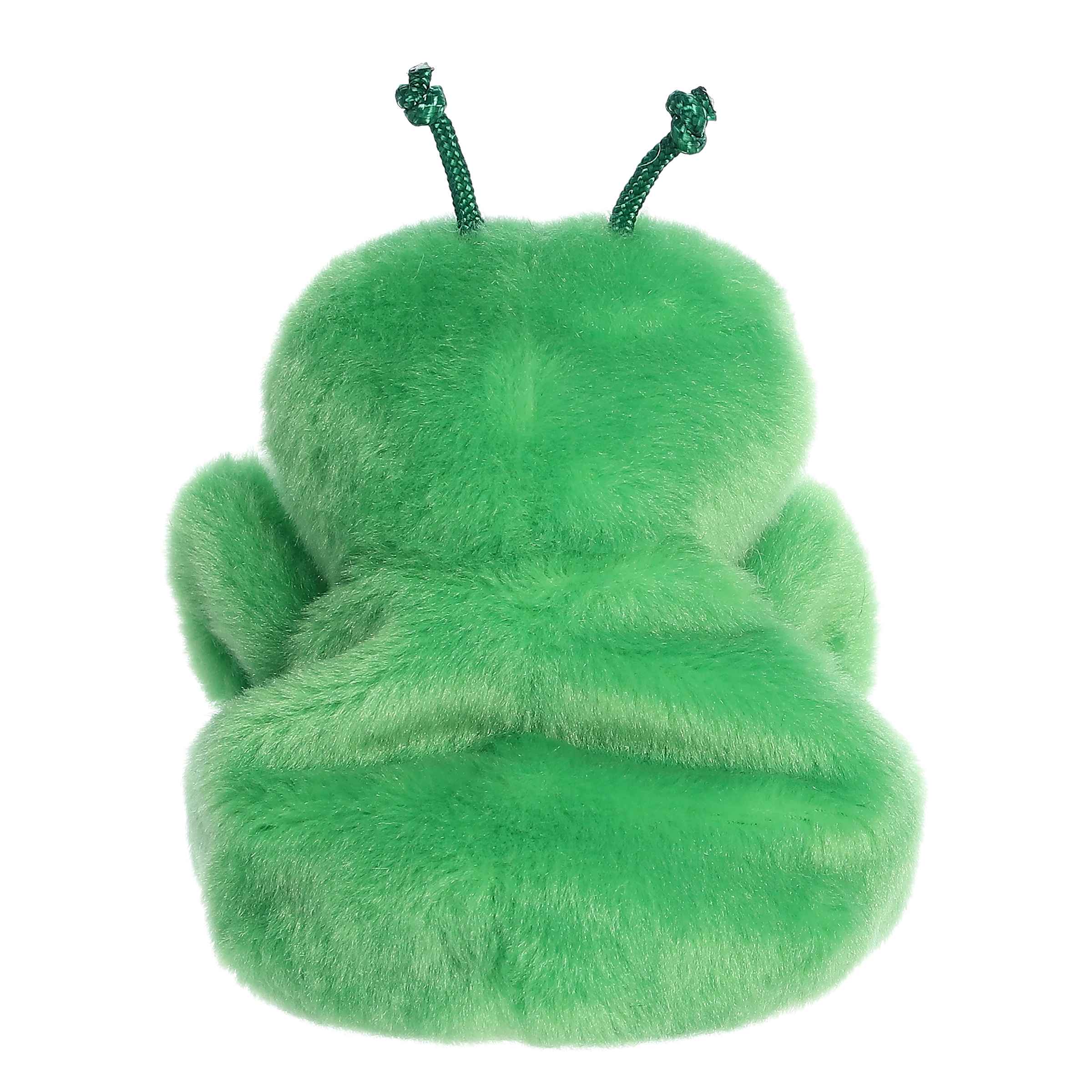 Kai Praying Mantis | Aurora Palm Pals