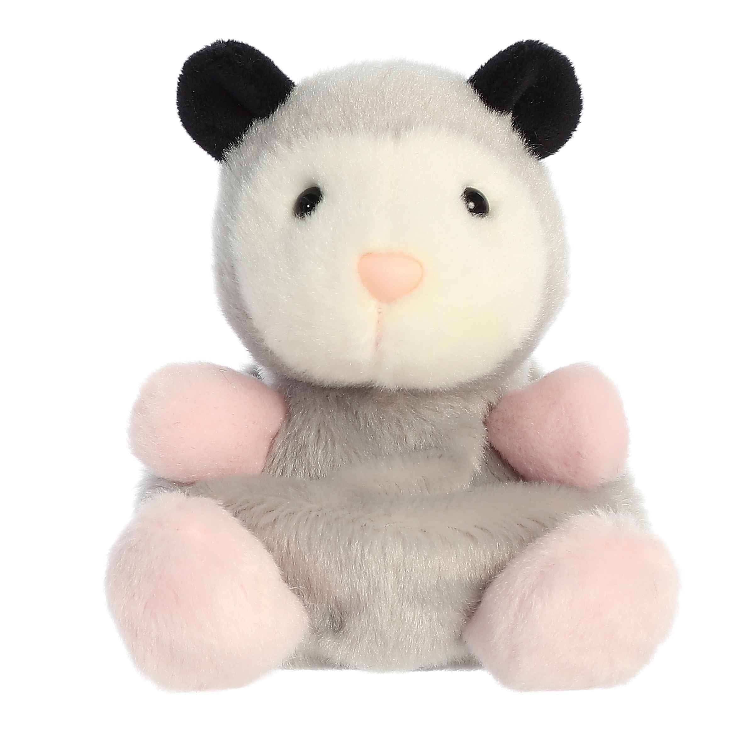 Sherri Opossum | Aurora Palm Pals
