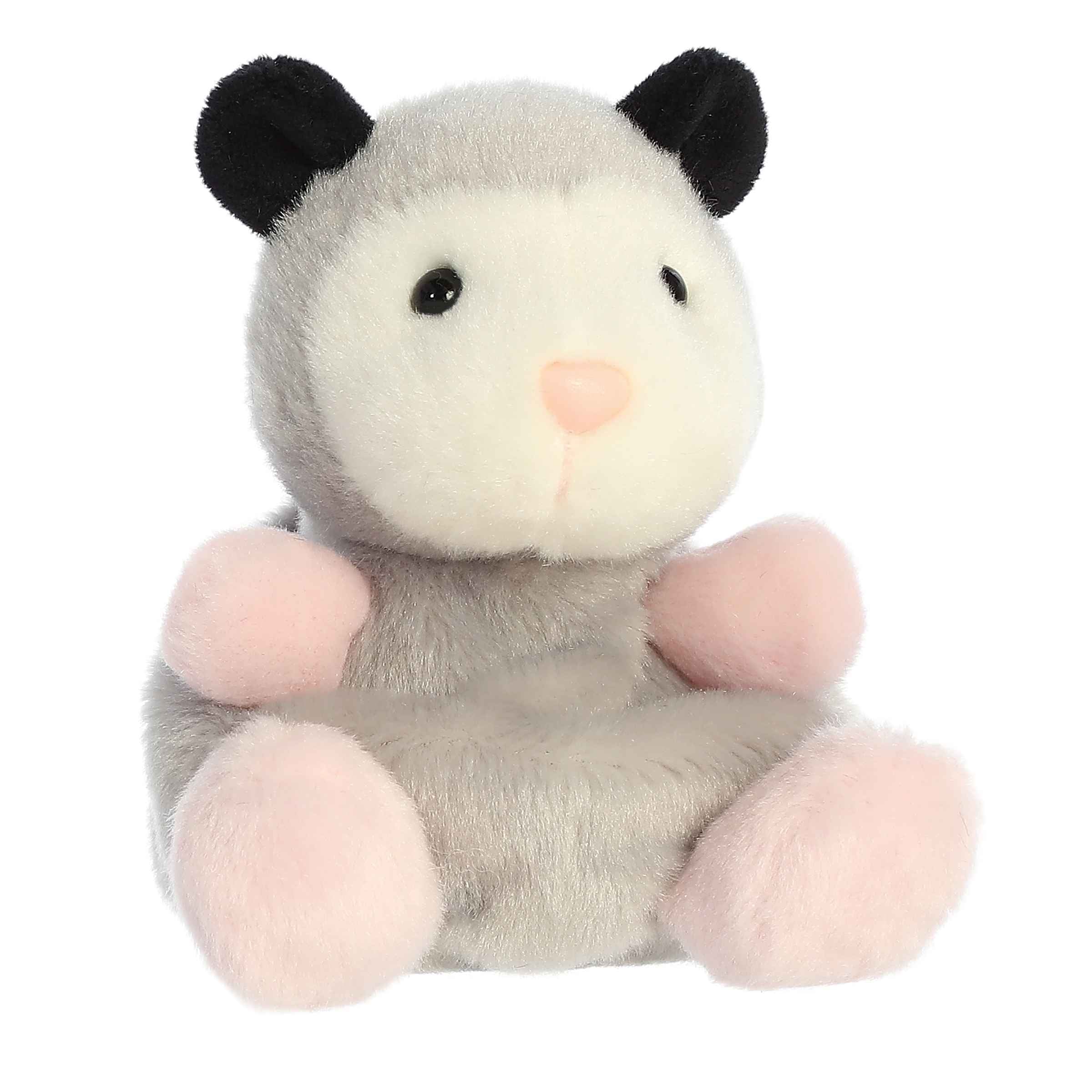 Sherri Opossum | Aurora Palm Pals