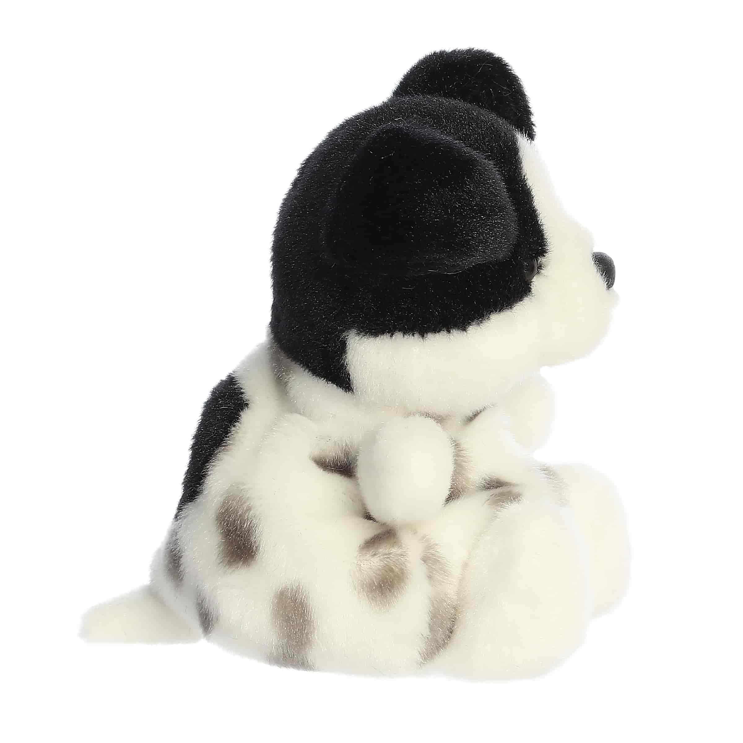 Snorkels Black & White Dog | Aurora Palm Pals