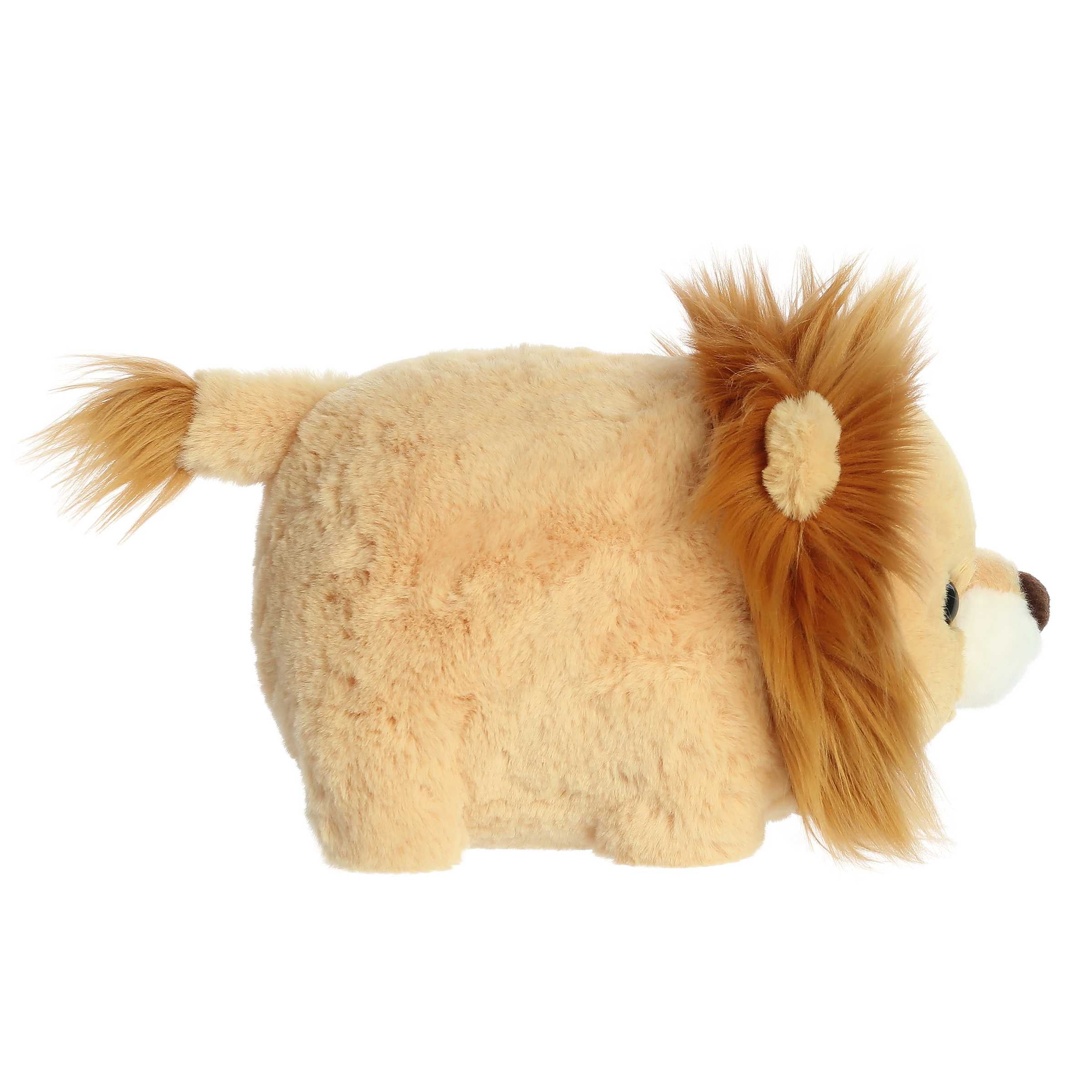 Logan Lion | Aurora Spudster