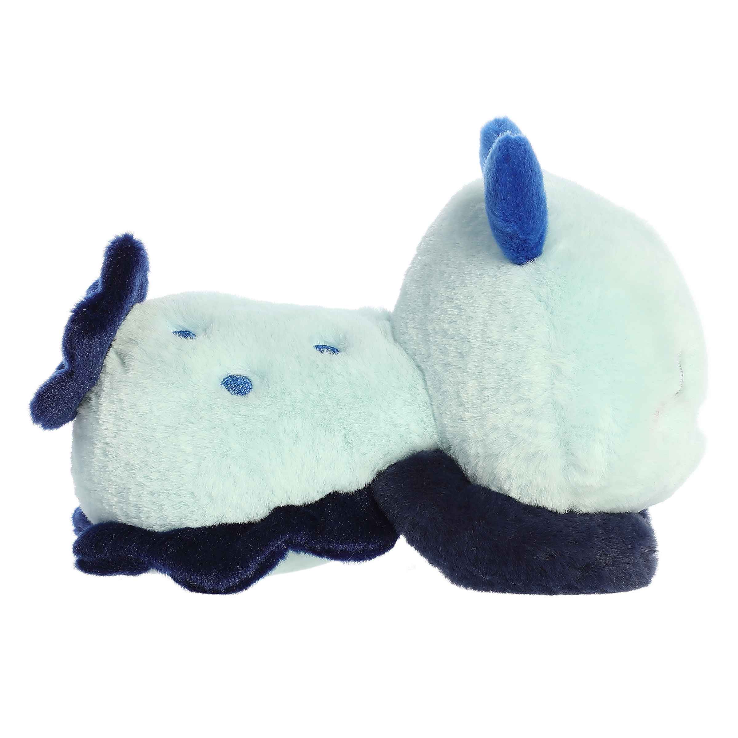 Seela Sea Slug | Aurora Too Cute