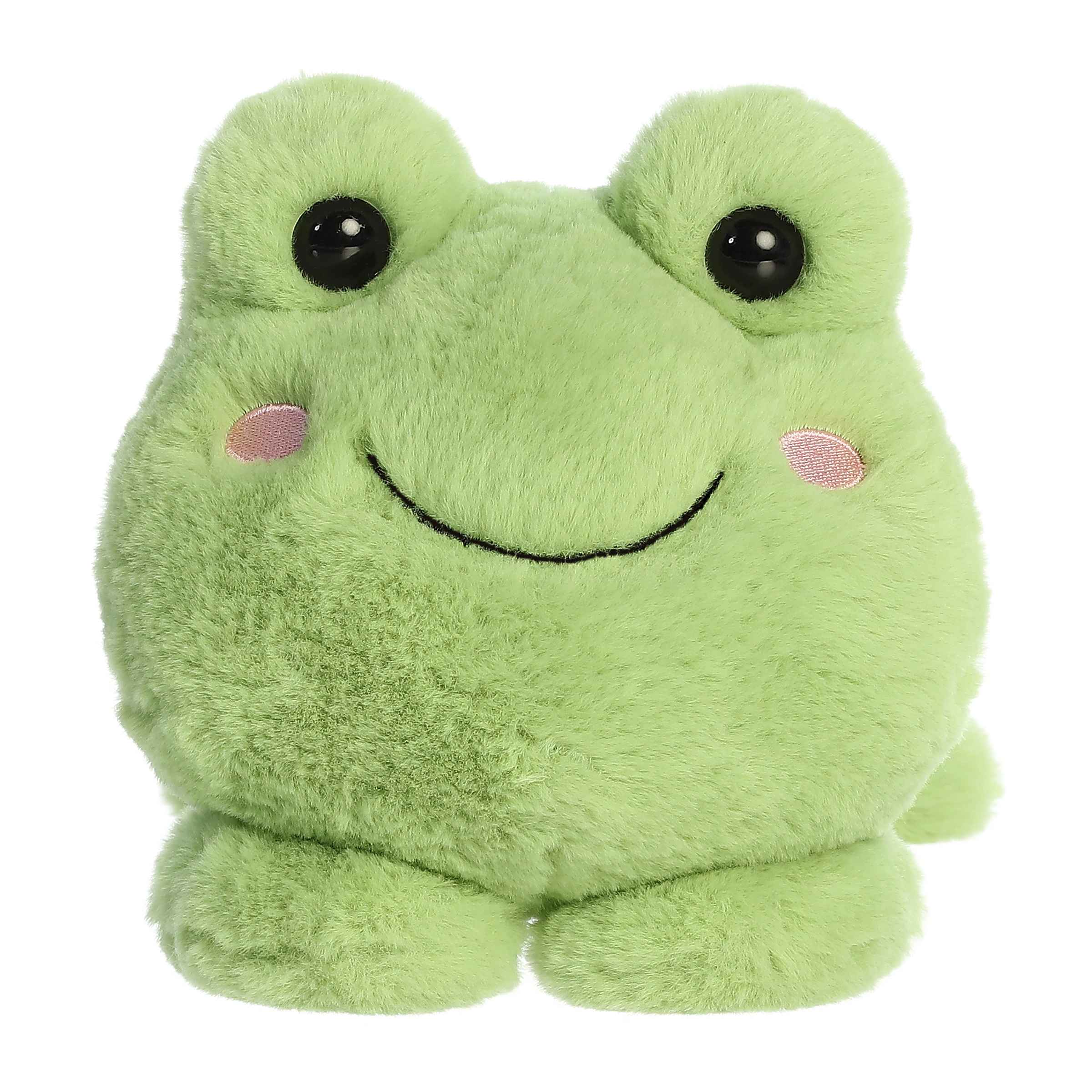 Fovo Frog | Aurora Too Cute