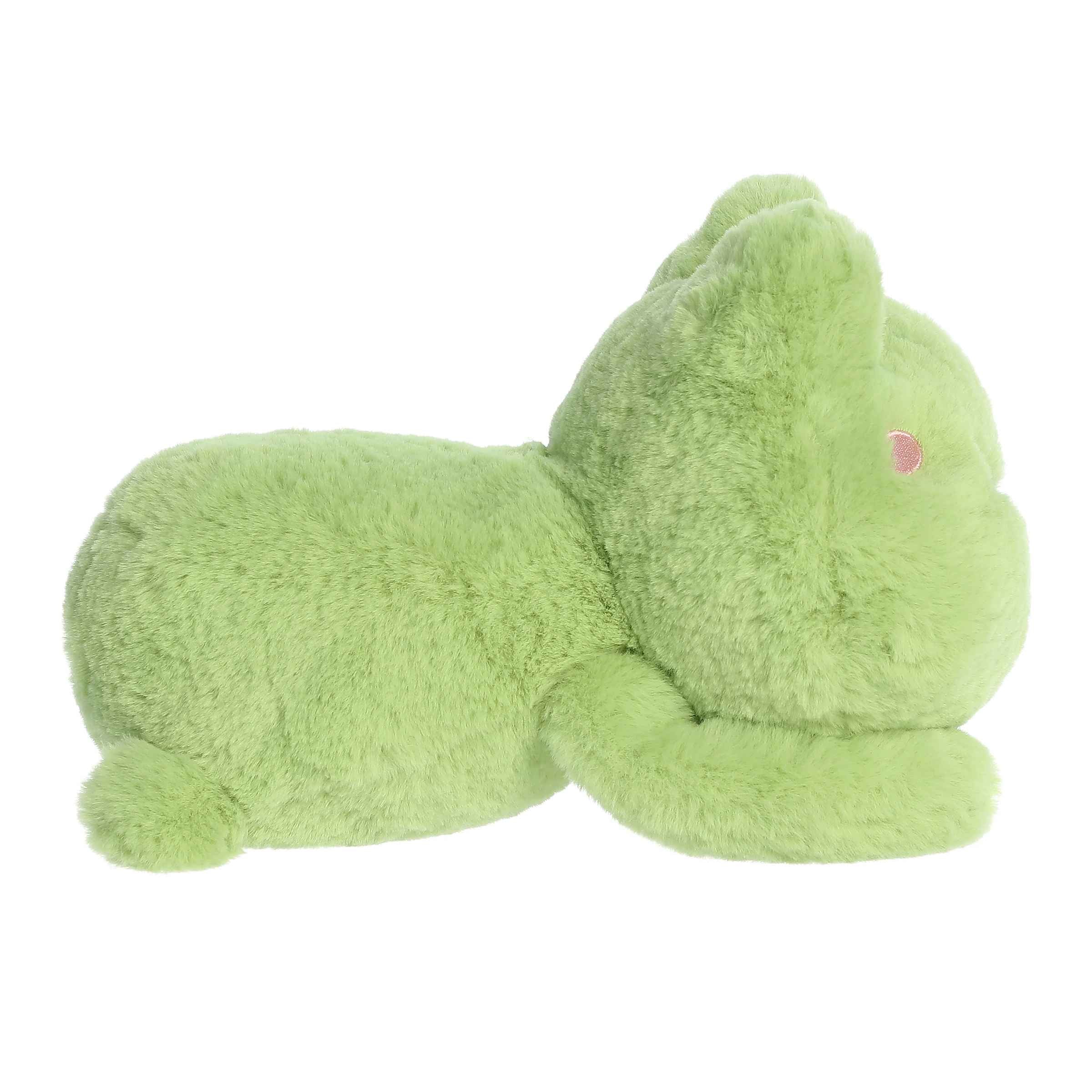 Fovo Frog | Aurora Too Cute