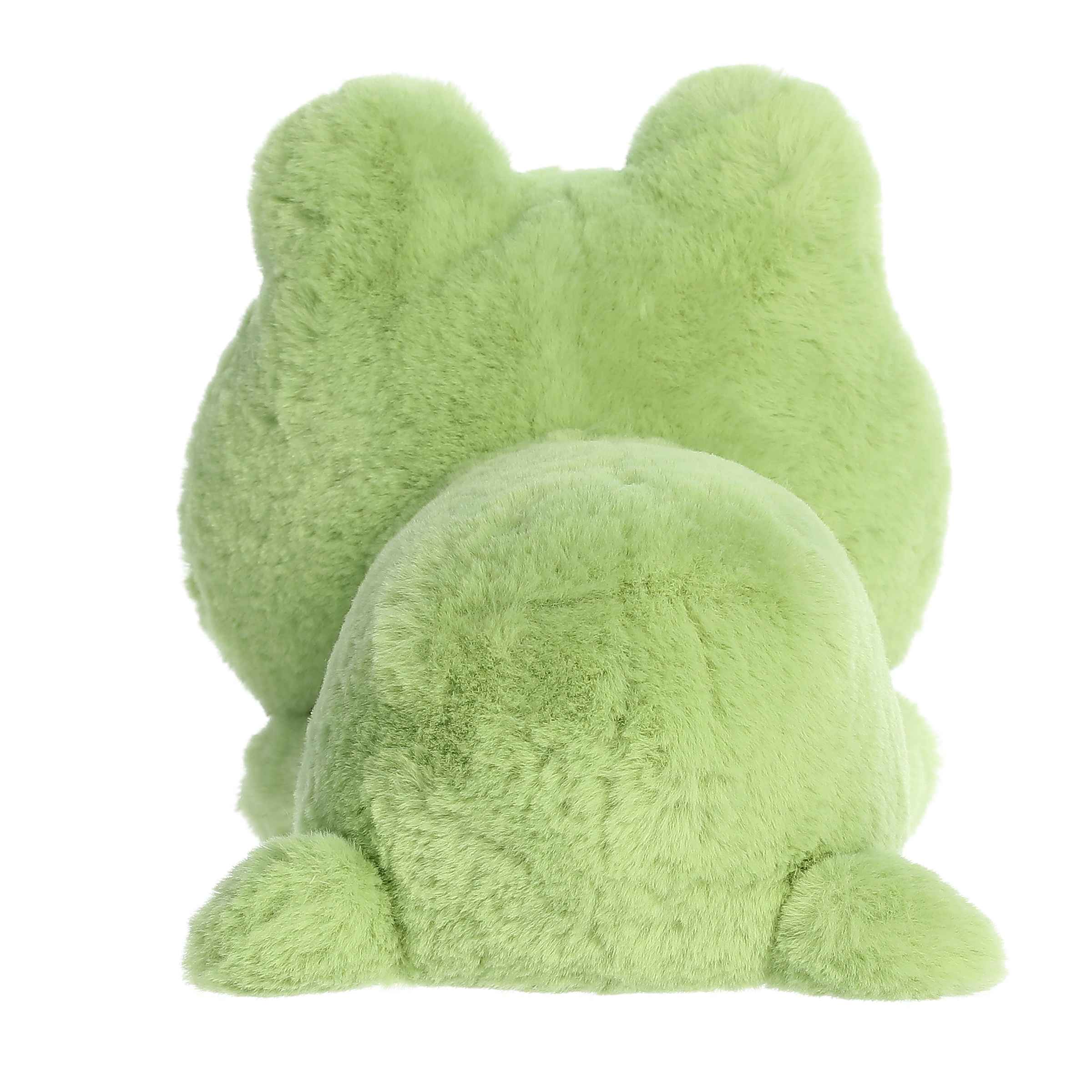 Fovo Frog | Aurora Too Cute