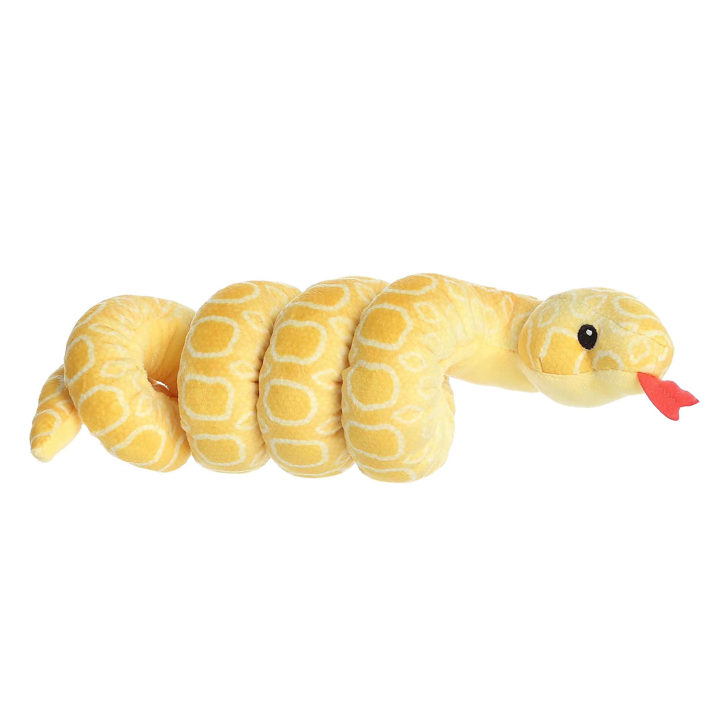 Albino Burmese Python | Aurora Wrist Wrangler