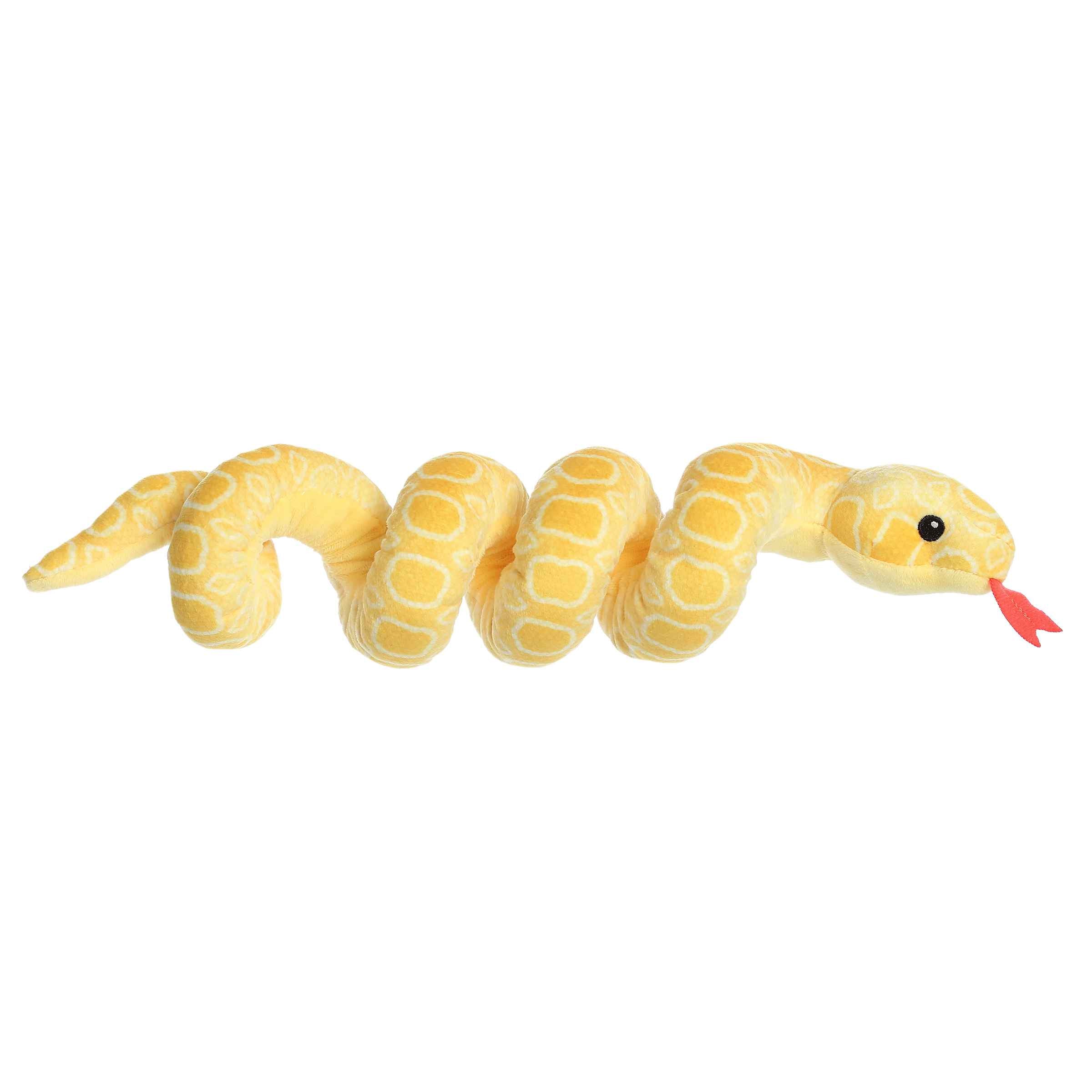 Albino Burmese Python | Aurora Wrist Wrangler