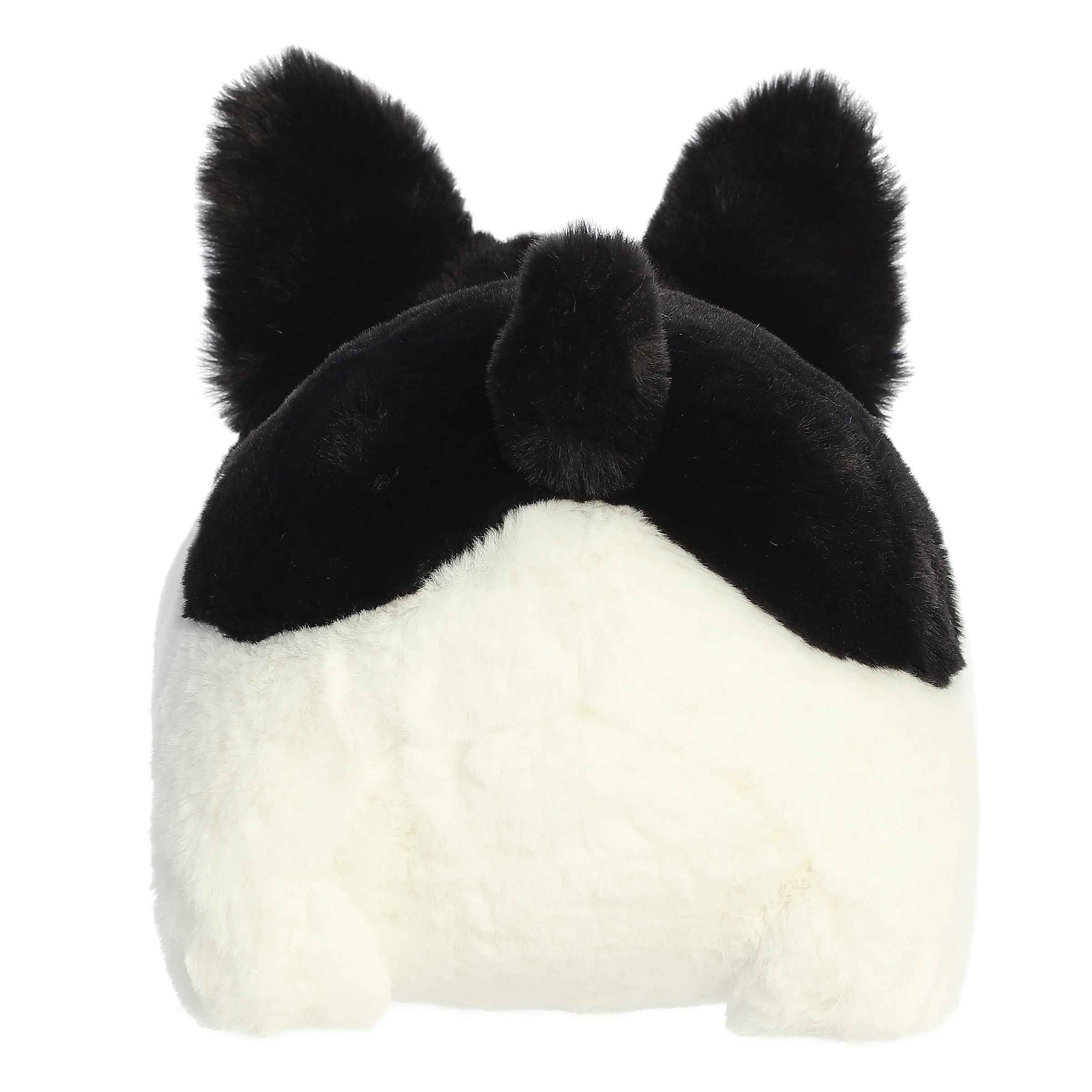 Fern French Bulldog | Aurora Spudster