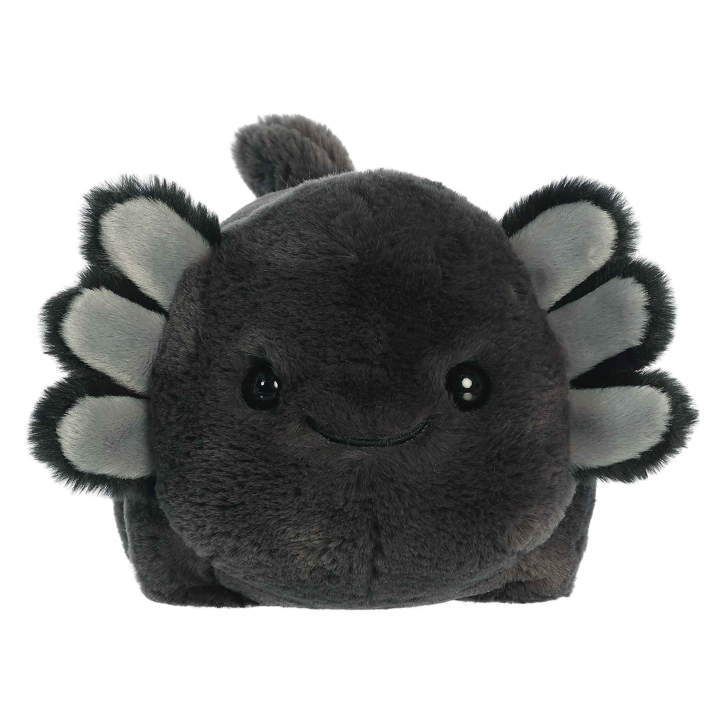 Ally Black Axolotl | Aurora Spudster