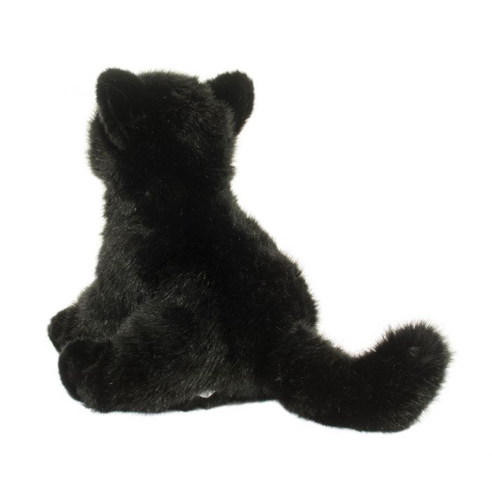 Salem Black Cat | Douglas Cuddle Toys