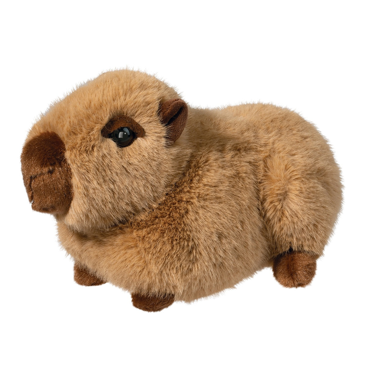 Chattie Soft Capybara | Douglas Cuddle Toys