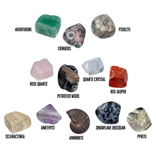 I Dig It! Rocks & Fossils | Mineral & Fossil Excavation