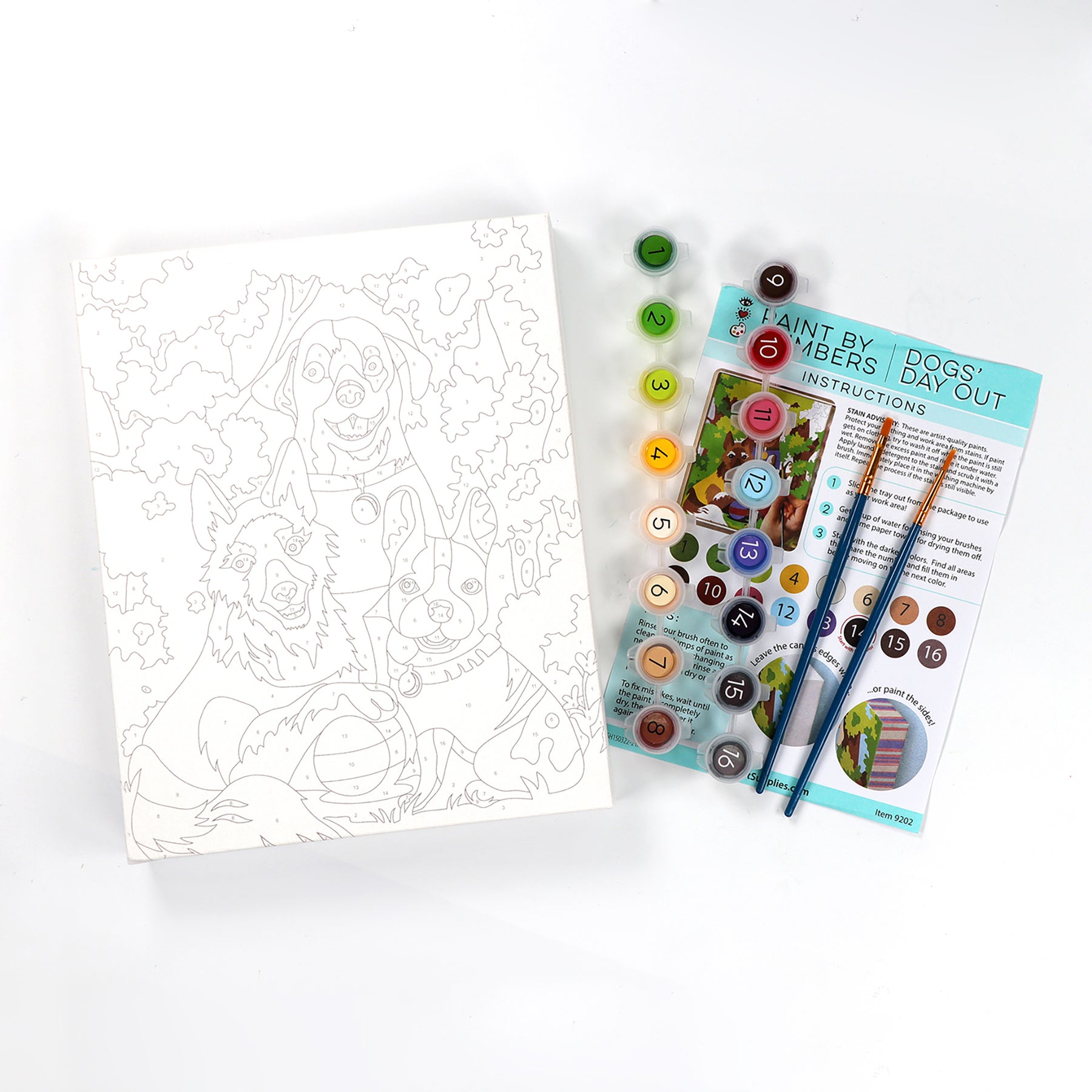 Dogs' Day Out Paint By Number | iHeart
