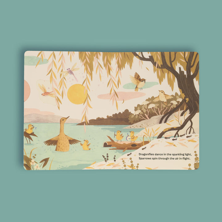 Sunrise Dance | Board Book