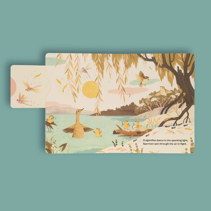 Sunrise Dance | Board Book