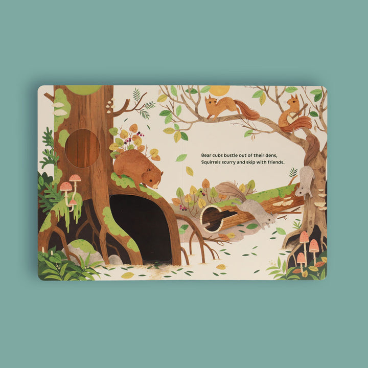 Sunrise Dance | Board Book
