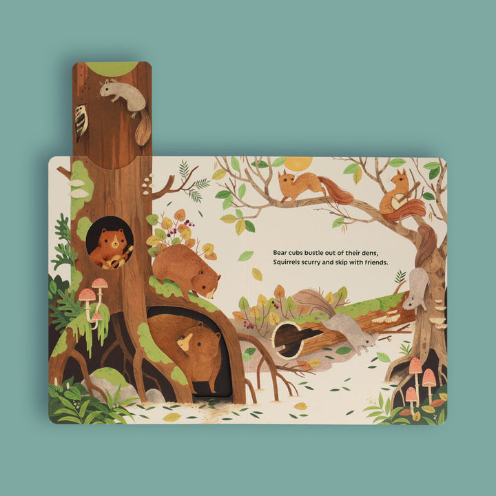 Sunrise Dance | Board Book