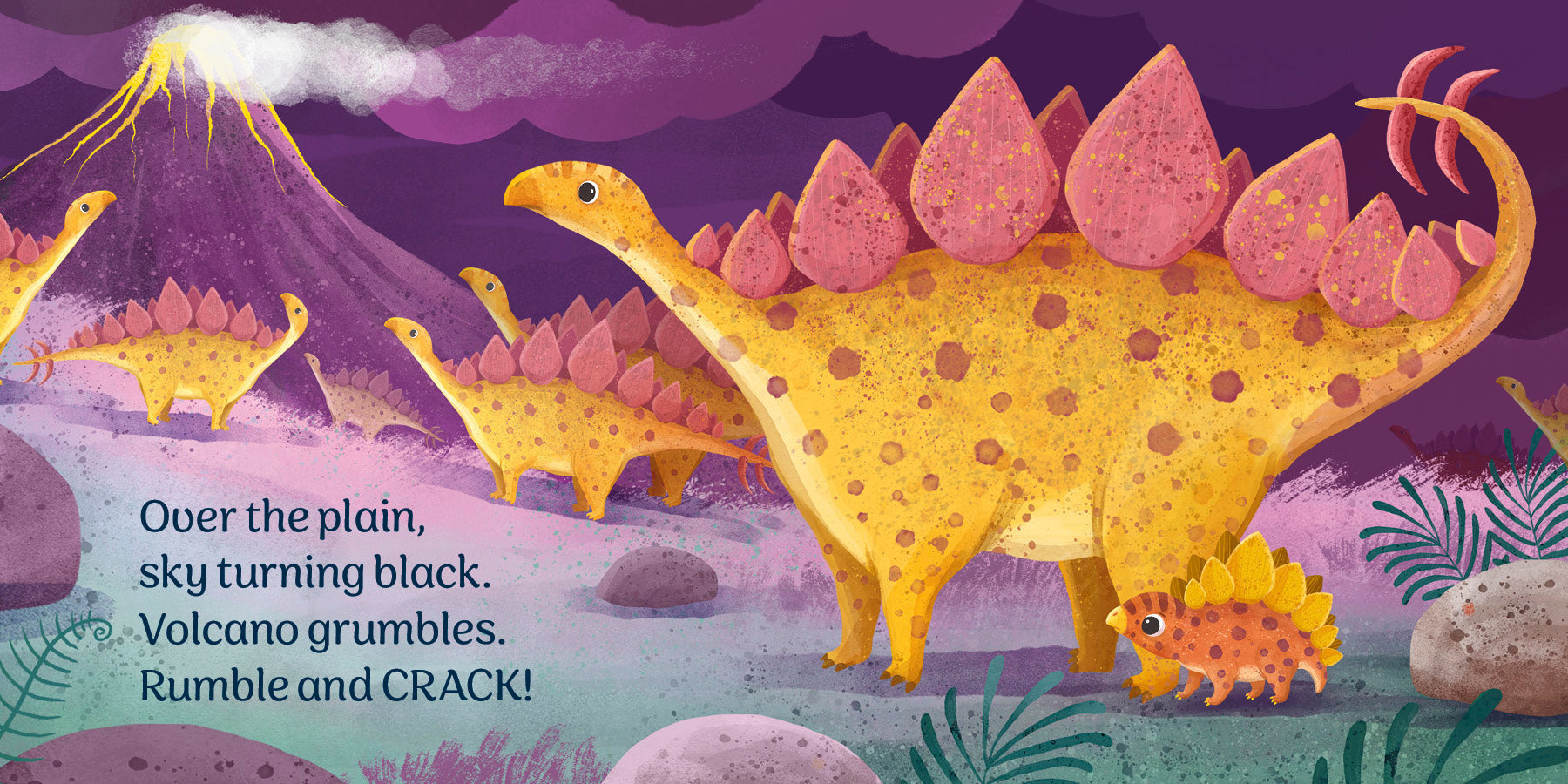 Baby Stegosaurus | Board Book