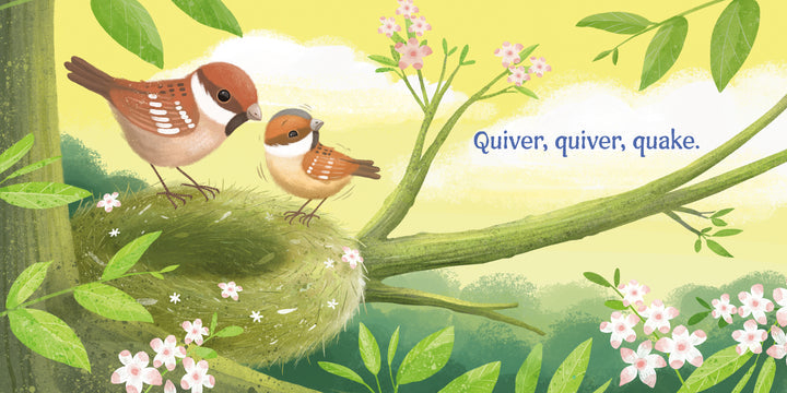 Sparrow Takes Flight | Board Book