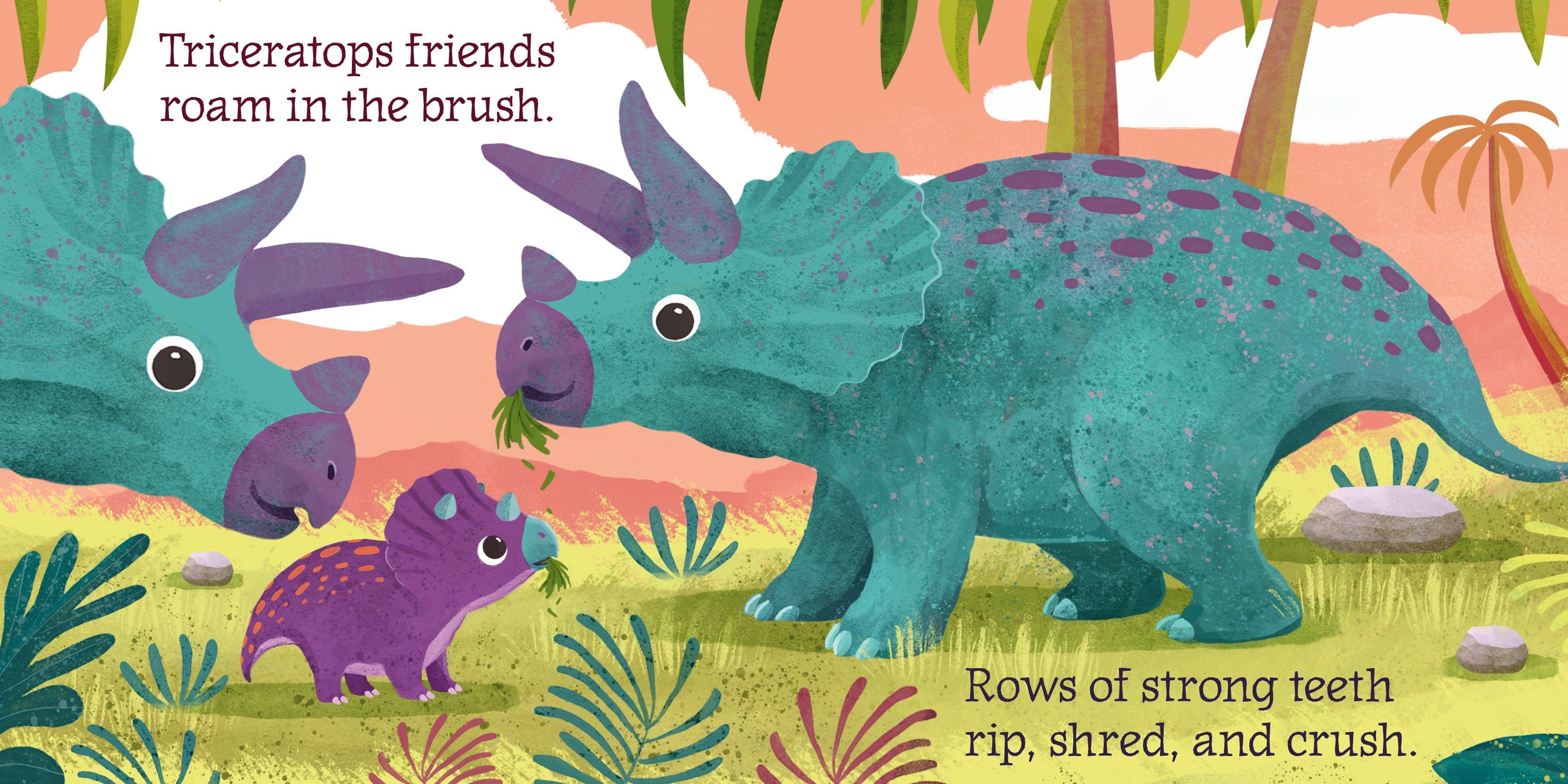 Baby Triceratops | Board Book