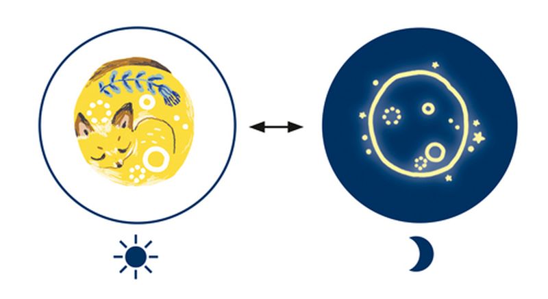 Sweet Dreams Temporary Tattoos | Djeco