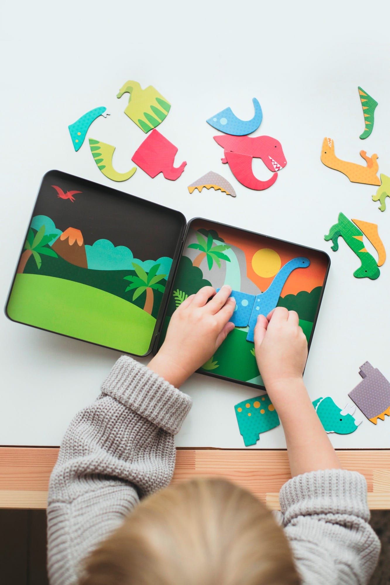 Dinosaur Kingdom Magnetic Play Set | Petit Collage