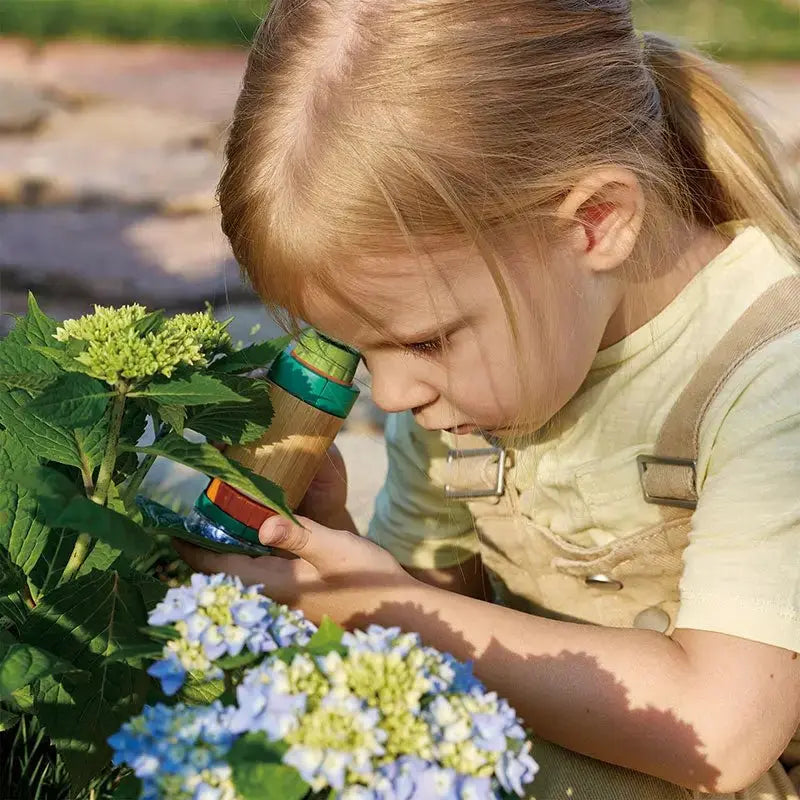 Nature Fun Field Microscope | Hape