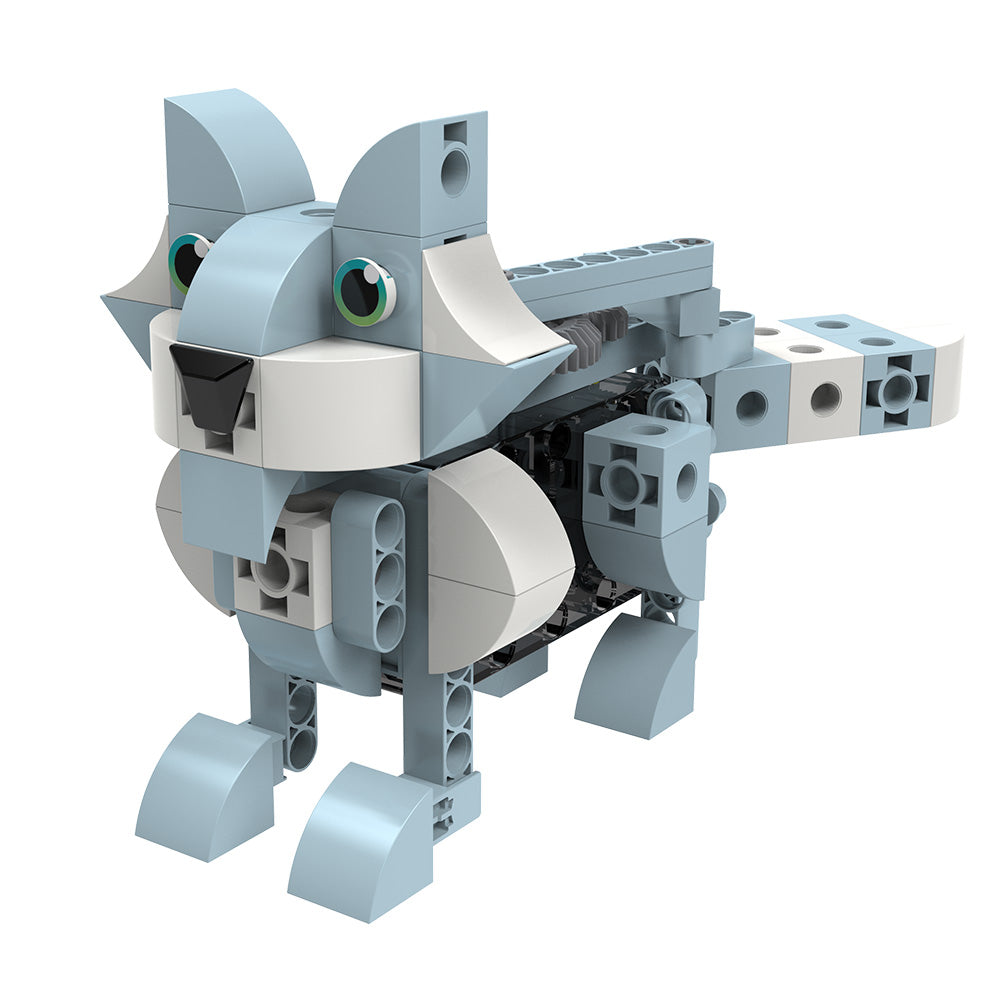 Kids First Robot Safari