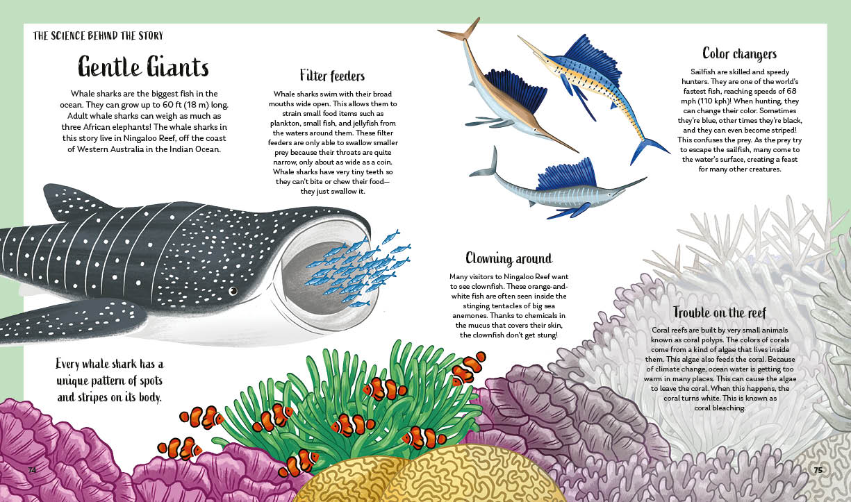 Secrets of the Ocean | 15 Bedtime Stories Inspired by Nature