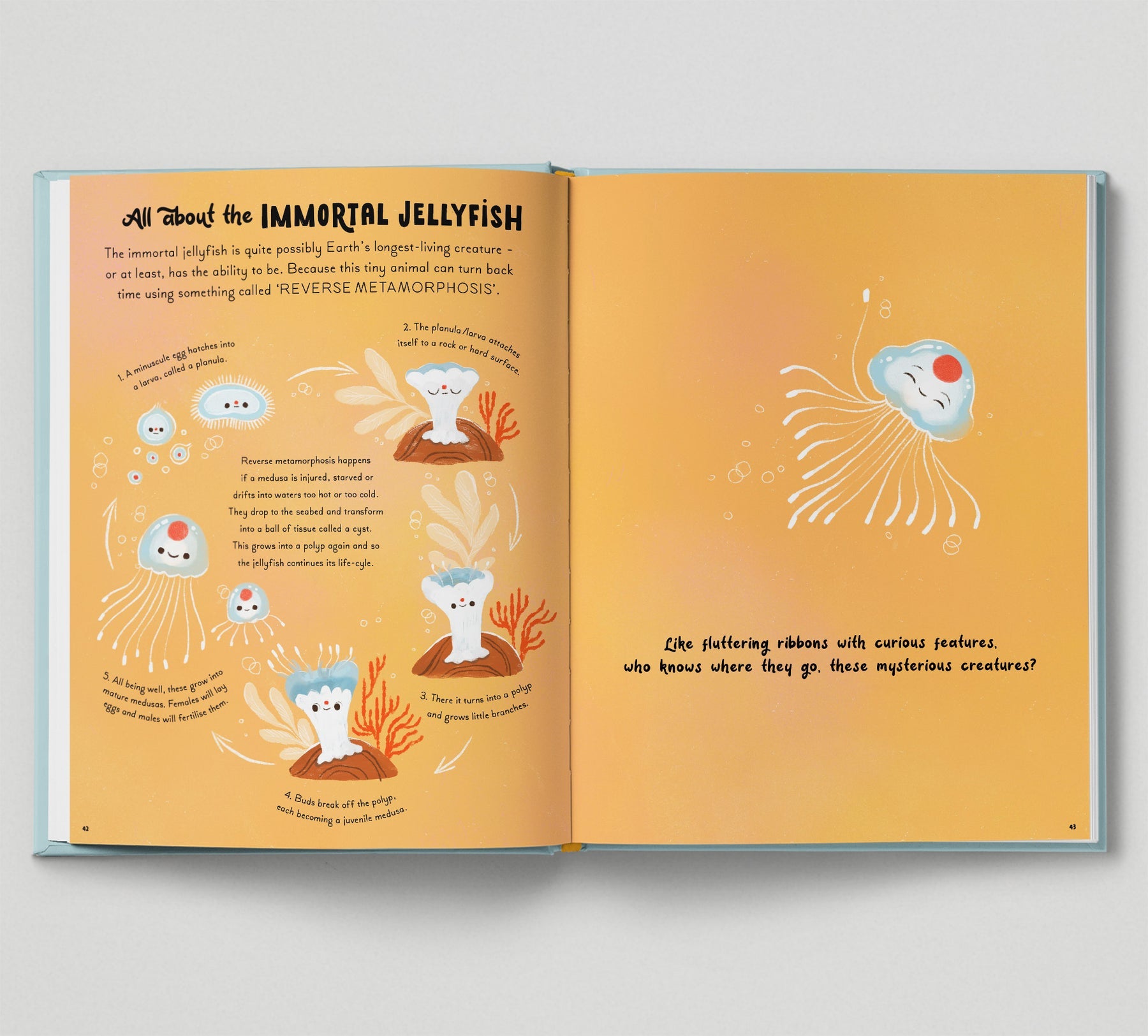 5 Minute Ocean Stories