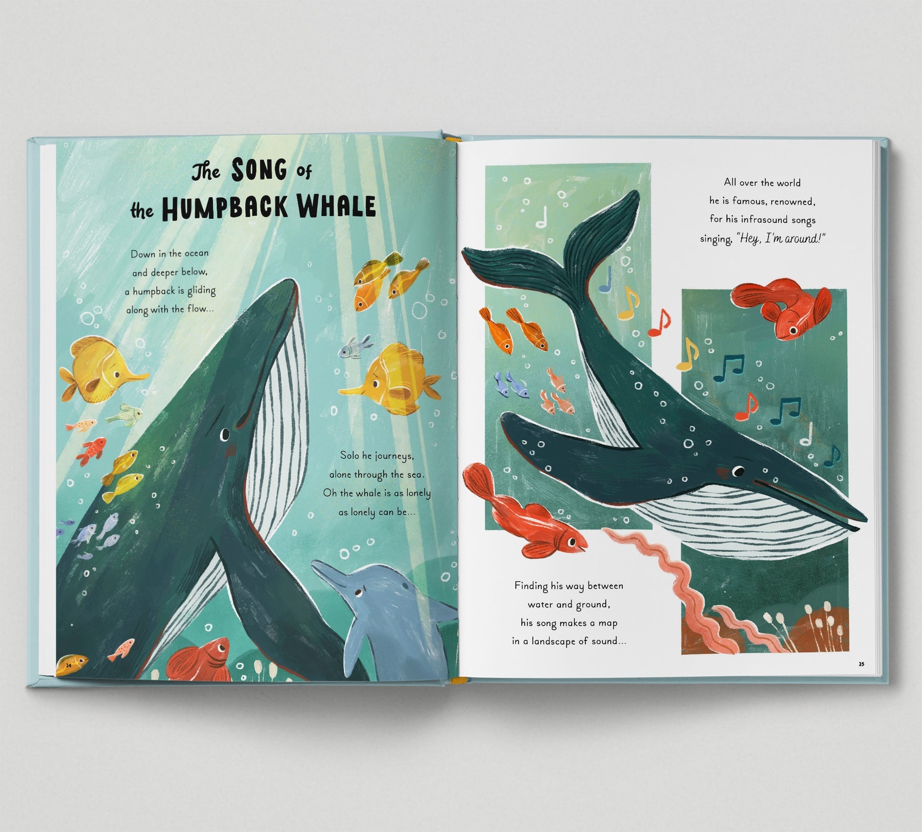 5 Minute Ocean Stories