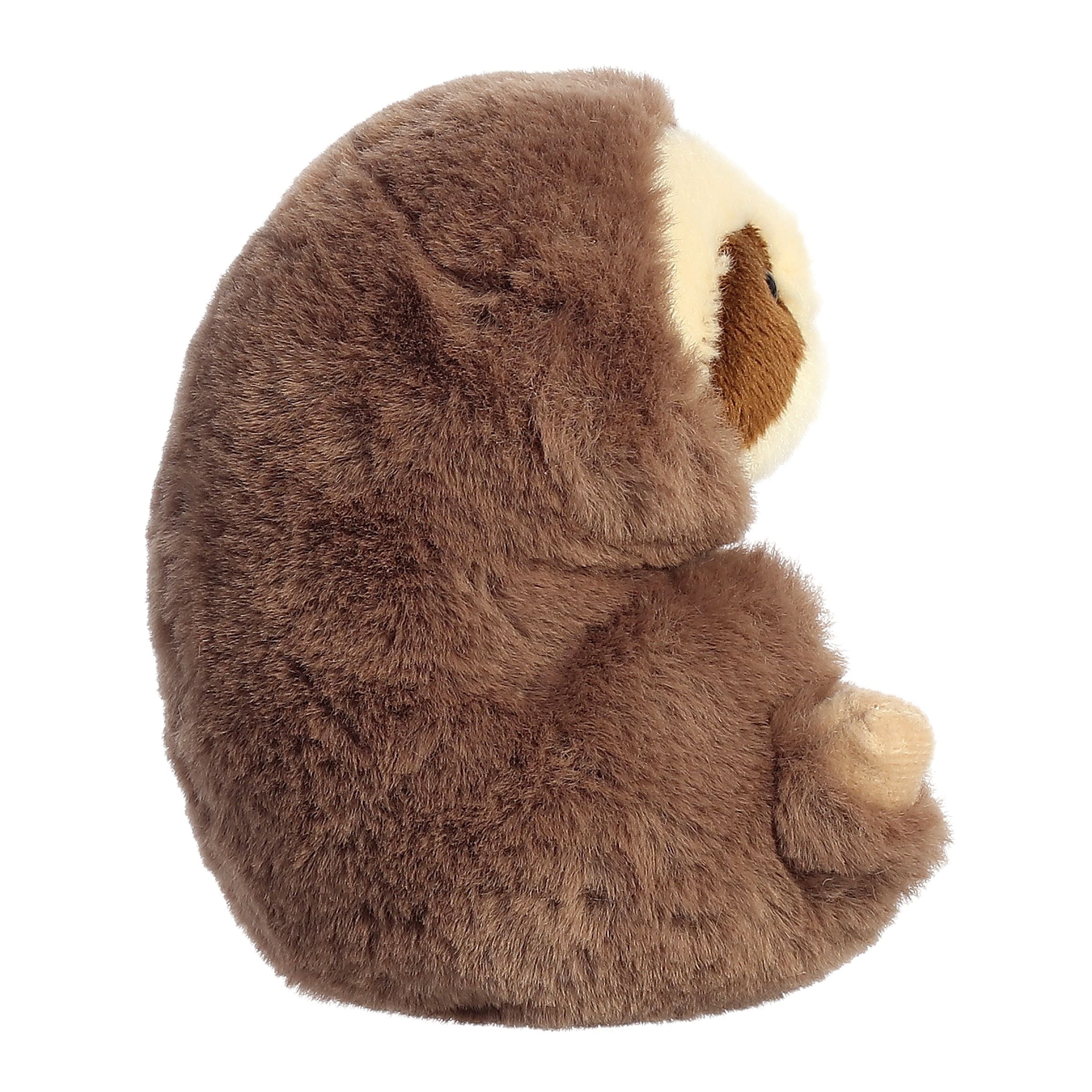 Seth Sloth | Aurora Rolly Pet