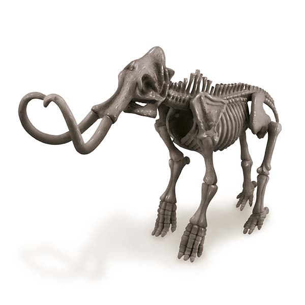 KidzLabs: Dig a Mammoth Skeleton Kaboodles Toy Store - Victoria