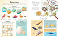 Nature Activity Book Kaboodles Toy Store - Victoria