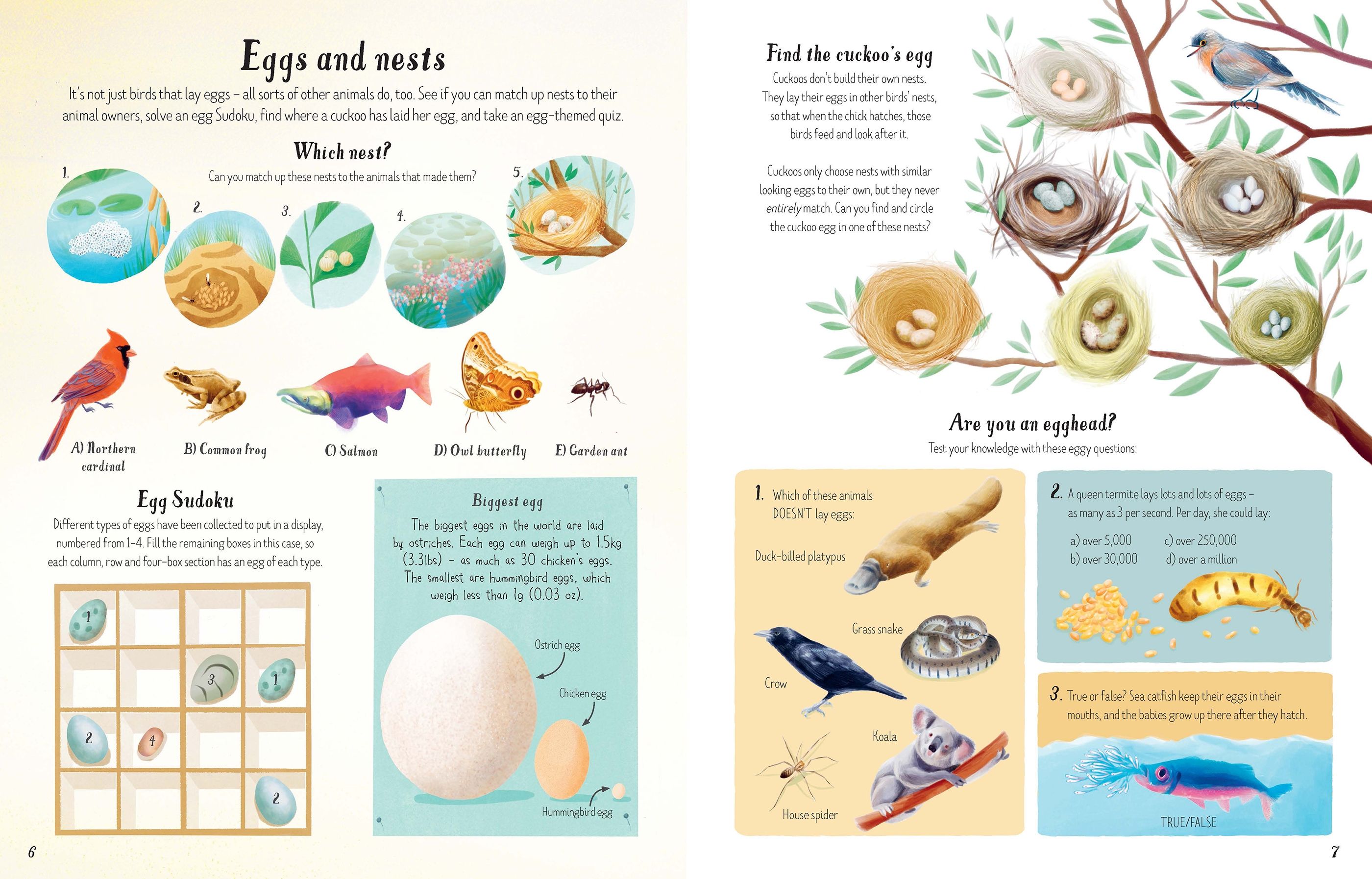 Nature Activity Book Kaboodles Toy Store - Victoria