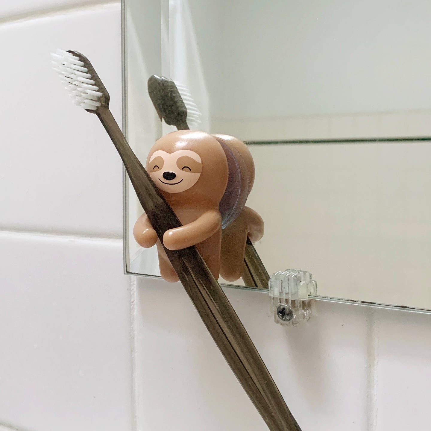 Toothbrush Holder | Sloth Kaboodles Toy Store - Victoria